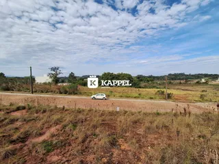 Vista de uma paisagem de campo seco com vegetação e uma estrada de terra no primeiro plano.