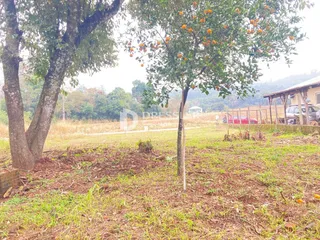 Terreno, foto 13