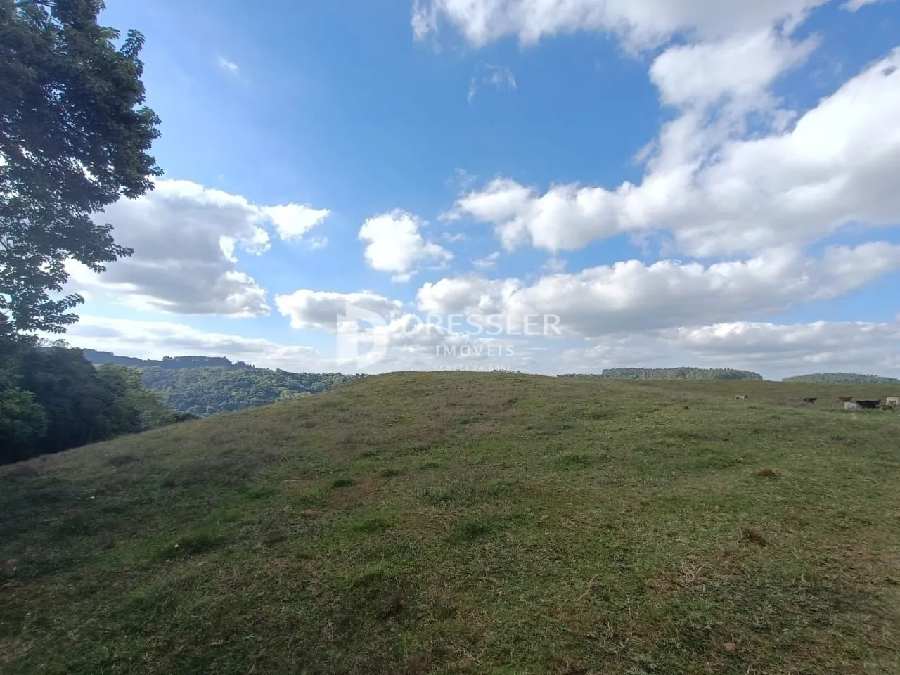 Área rural com 2 dormitórios, foto 1