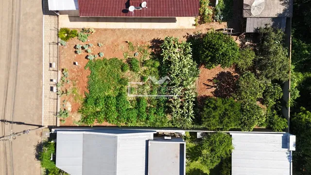 Terreno, foto 2
