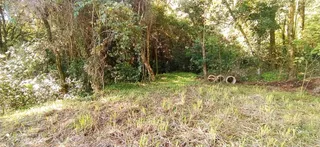 Terreno, foto 6