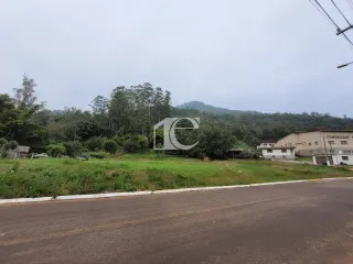 Terreno, foto 3