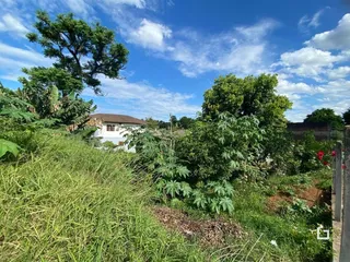 Terreno, foto 5