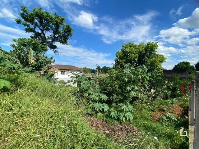 Terreno, foto 5
