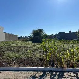 Área externa com vegetação seca sob um céu azul claro.