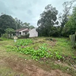 Terreno, foto 4