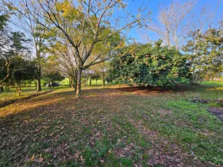 Área rural com 2 dormitórios, foto 16