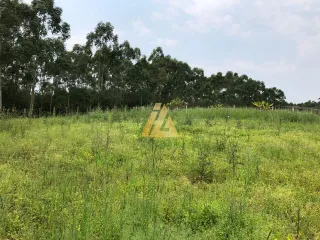 Área rural com 2 dormitórios, foto 10