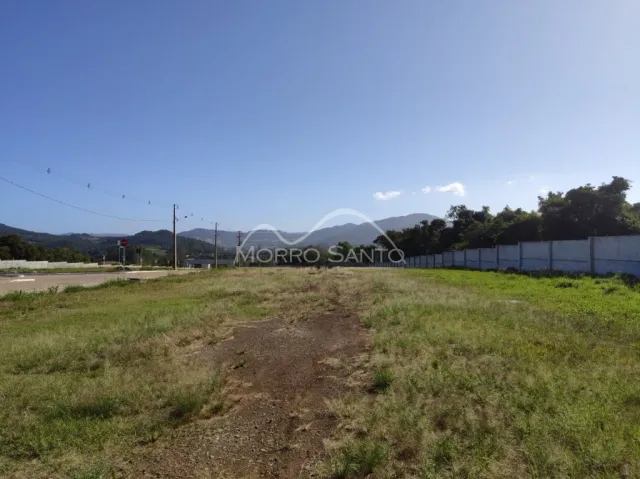 Terreno, foto 3