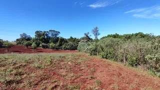 Vista de uma área de terra com vegetação rasteira vermelha sob um céu azul.