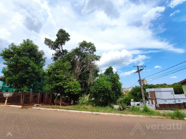 Terreno, foto 2