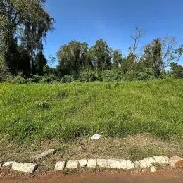 Vista externa de um campo de grama verde com vegetação ao fundo.