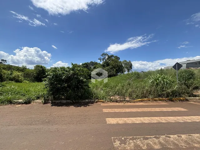 Vista da rua com vegetação densa ao lado da propriedade em Lajeado.