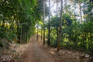Área rural com 2 dormitórios, foto 47