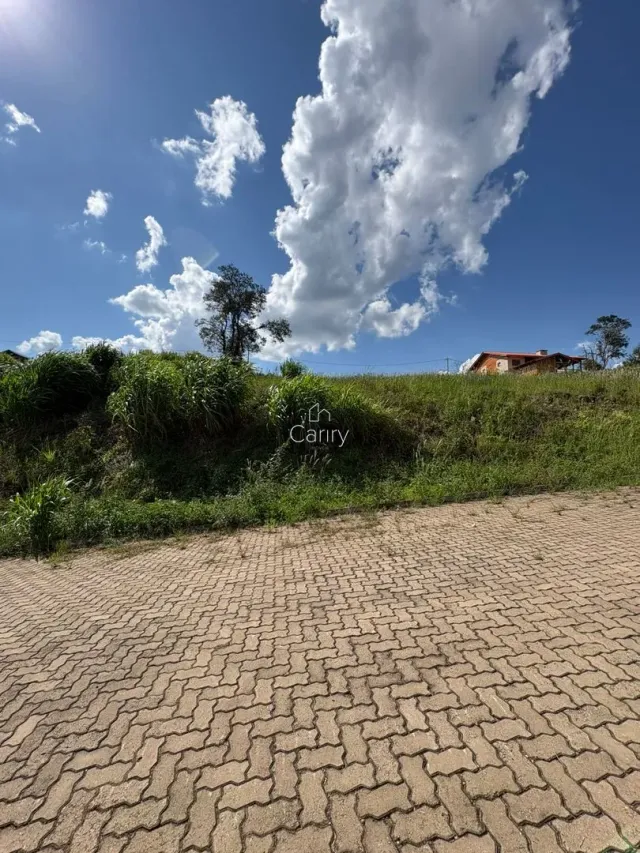 Terreno, foto 3