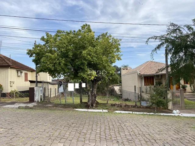 Terreno, foto 5