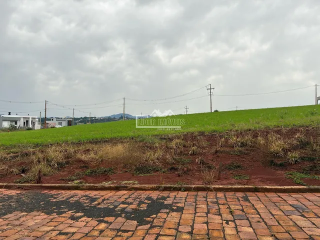 Terreno