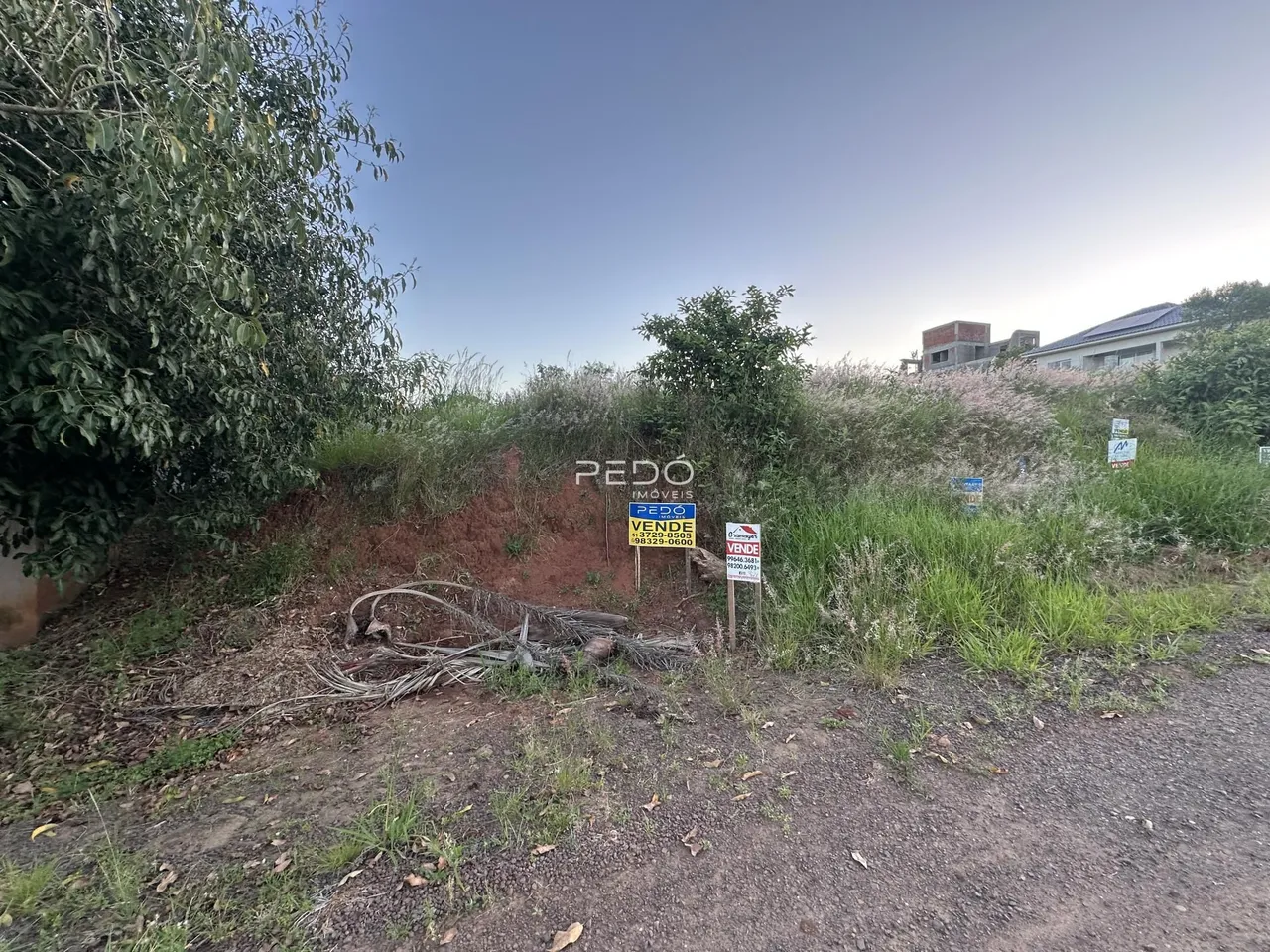Vista externa de terreno com vegetação densa e sinalização em Lajeado.