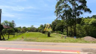 Terreno, foto 4