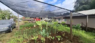 Terreno, foto 8