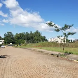 Terreno, foto 6