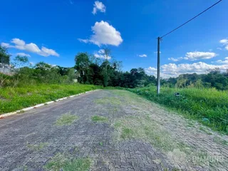 Terreno, foto 3
