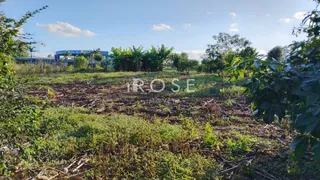 Casa com 4 dormitórios, foto 12