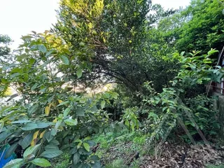 Casa com 3 dormitórios, foto 18