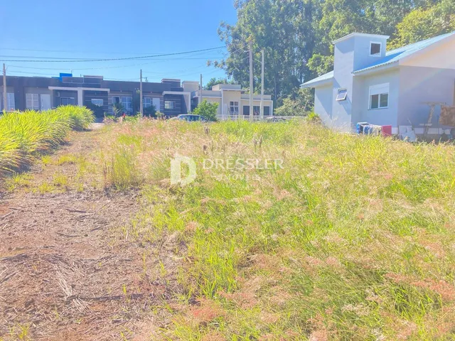 Terreno, foto 5