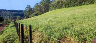 Vista de uma colina verde com vegetação densa e cerca no primeiro plano.