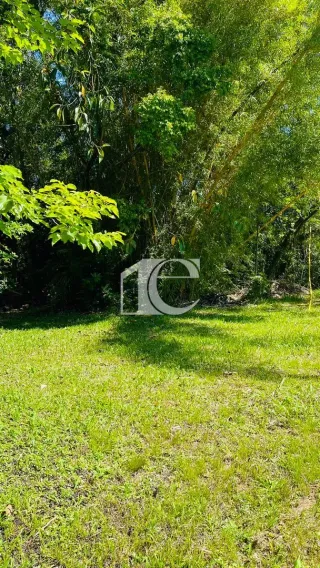 Terreno, foto 16