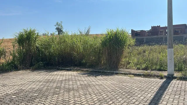Terreno