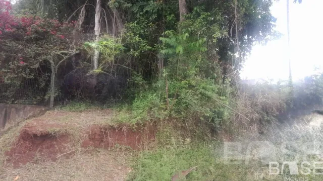 Terreno, foto 3