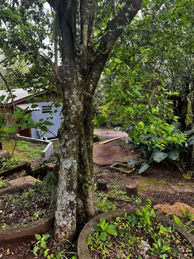 Terreno