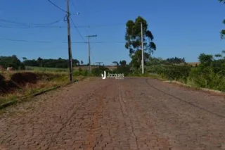 Uma estrada de terra se estende por uma paisagem de vegetação.