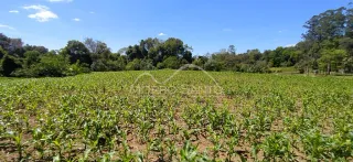 Área rural, foto 3