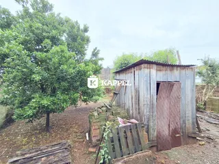 Vista externa de uma propriedade com vegetação e uma estrutura de madeira rústica.