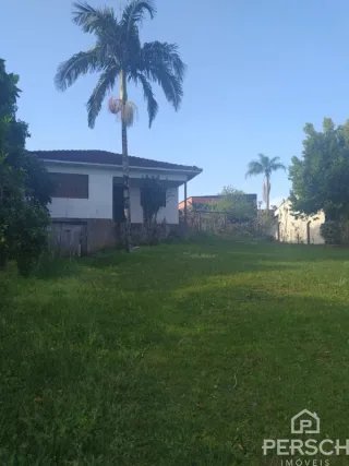 Vista externa de um gramado com palmeira em Lajeado.