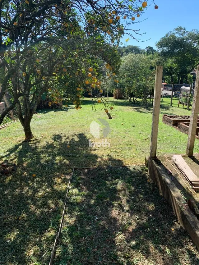 Terreno, foto 3
