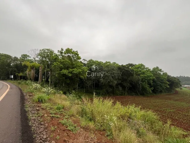 Terreno, foto 2