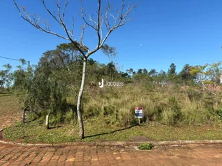 Paisagem de campo com uma grande árvore e vegetação densa ao fundo.