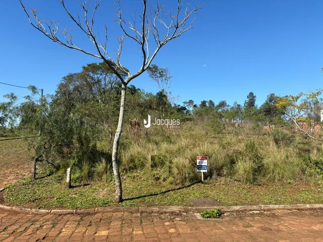 Paisagem de campo com uma grande árvore e vegetação densa ao fundo.