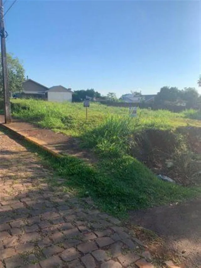 Terreno, foto 2