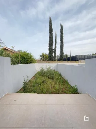 Parede branca de divisa com vegetação e árvores no quintal.