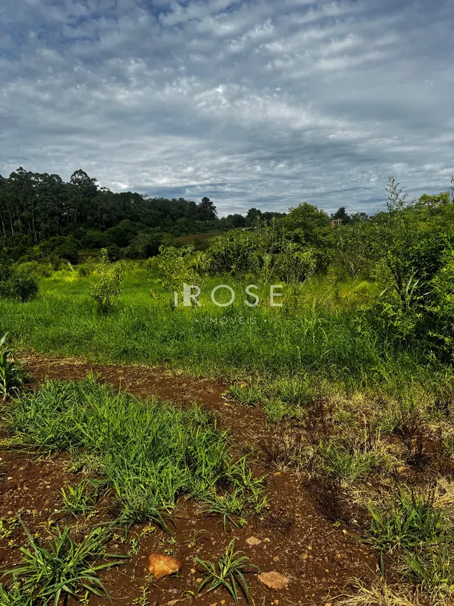 Área rural, foto 5