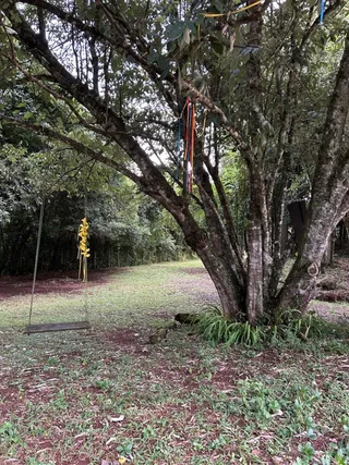 Área rural com 3 dormitórios, foto 15