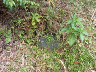 Área rural, foto 9
