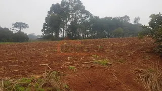 Área rural, foto 1