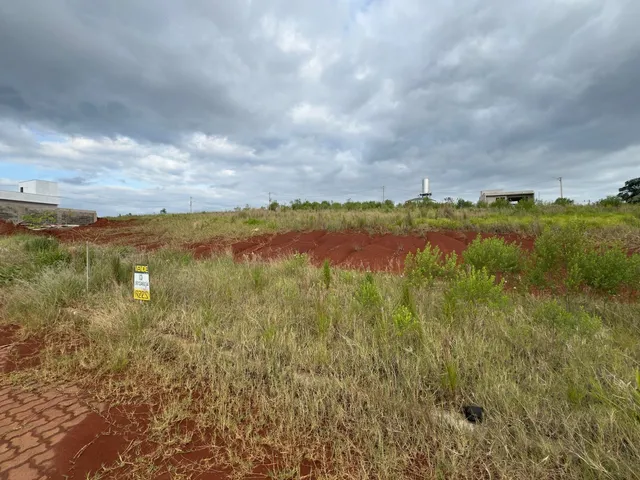 Vista de uma paisagem de campo com vegetação seca e solo avermelhado.