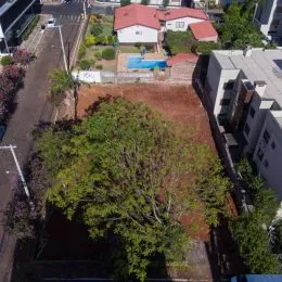 Foto de uma área externa com gramado e árvores em uma propriedade em Lajeado.